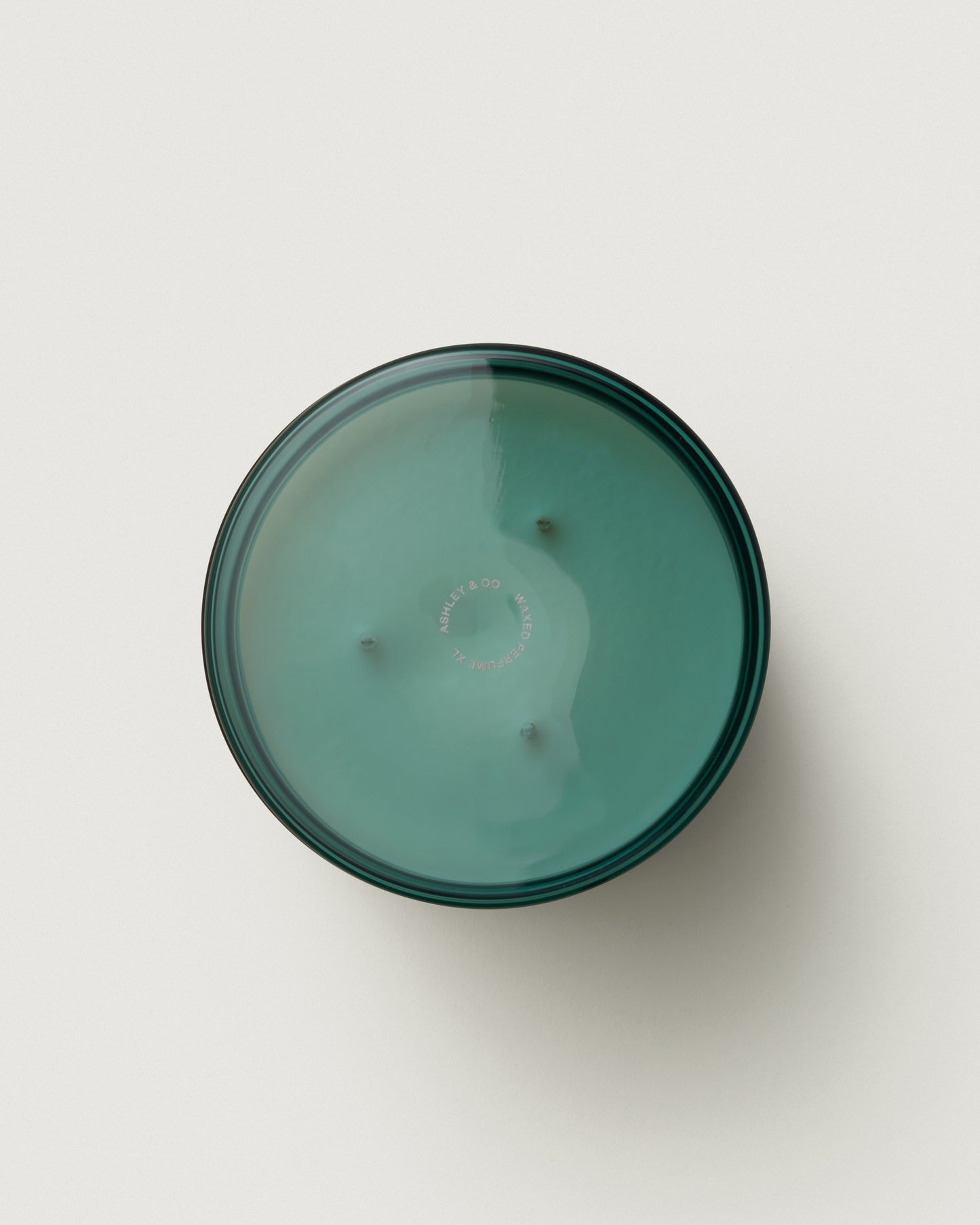 Waxed Perfume Outdoor Candle 310g Tui & Kahili + Citronella
