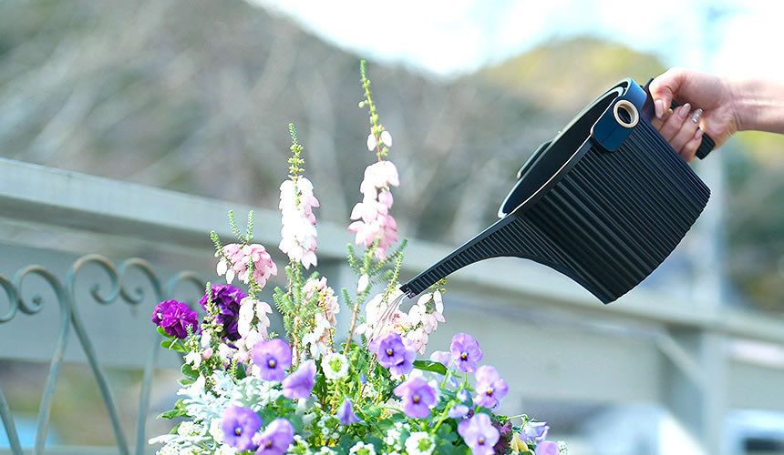 Garden Bettle Watering Can - Black