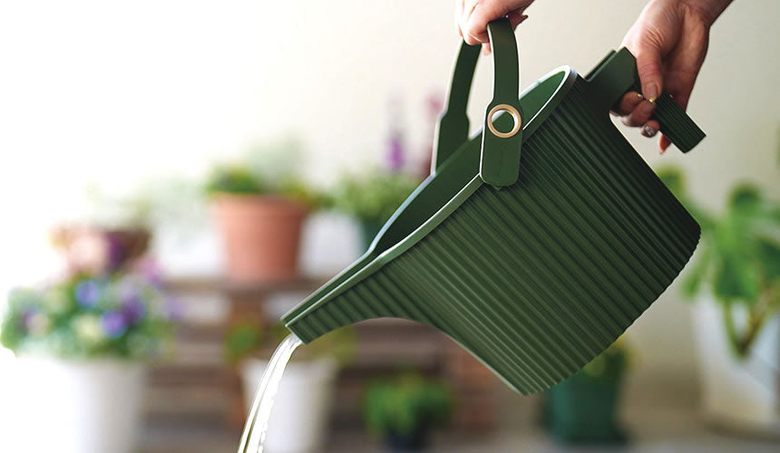 Garden Bettle Watering Can - Green