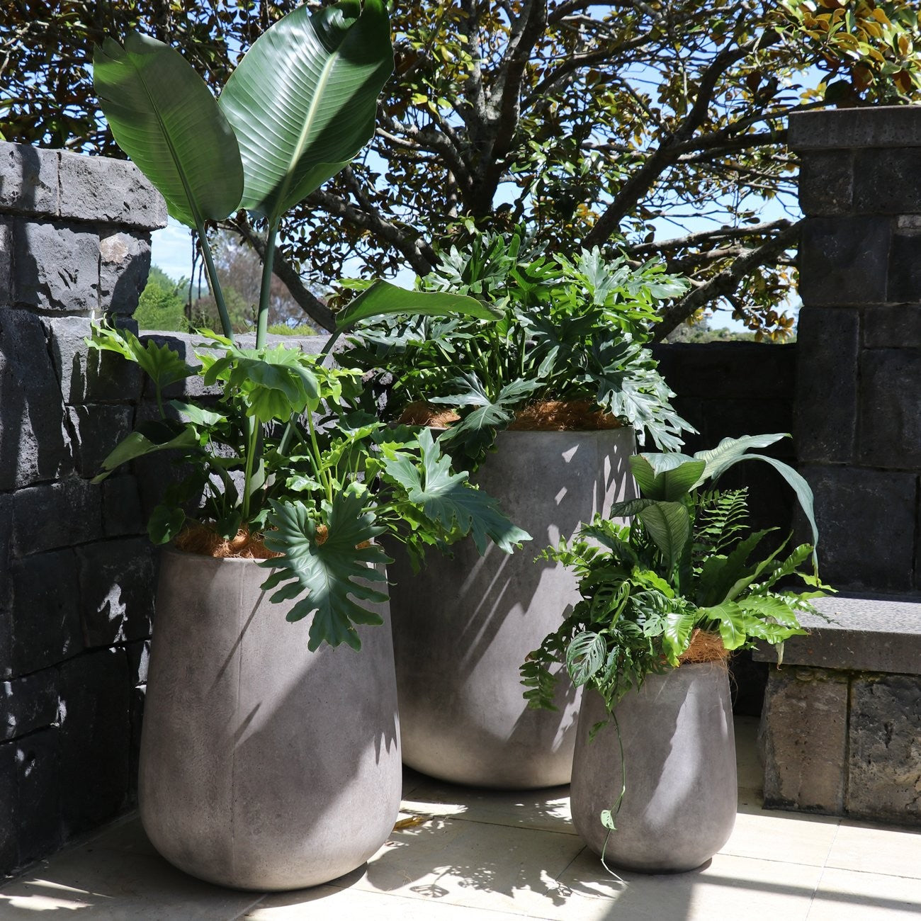Karamea Planter - Small