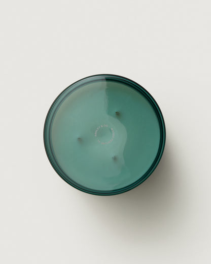 Waxed Perfume Outdoor Candle 310g Tui & Kahili + Citronella