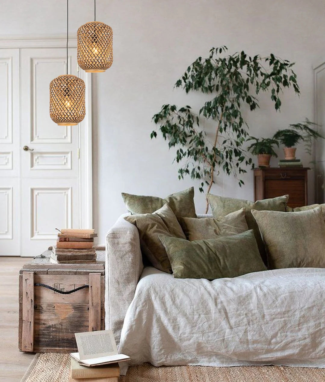 Cesta - New!