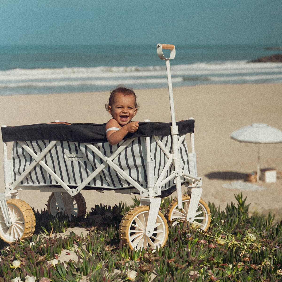 Business & Pleasure Beach Cart, Coming Soon, Contact us to Pre-Order
