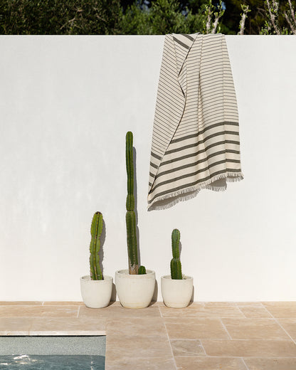 Banksia Throw Avocado