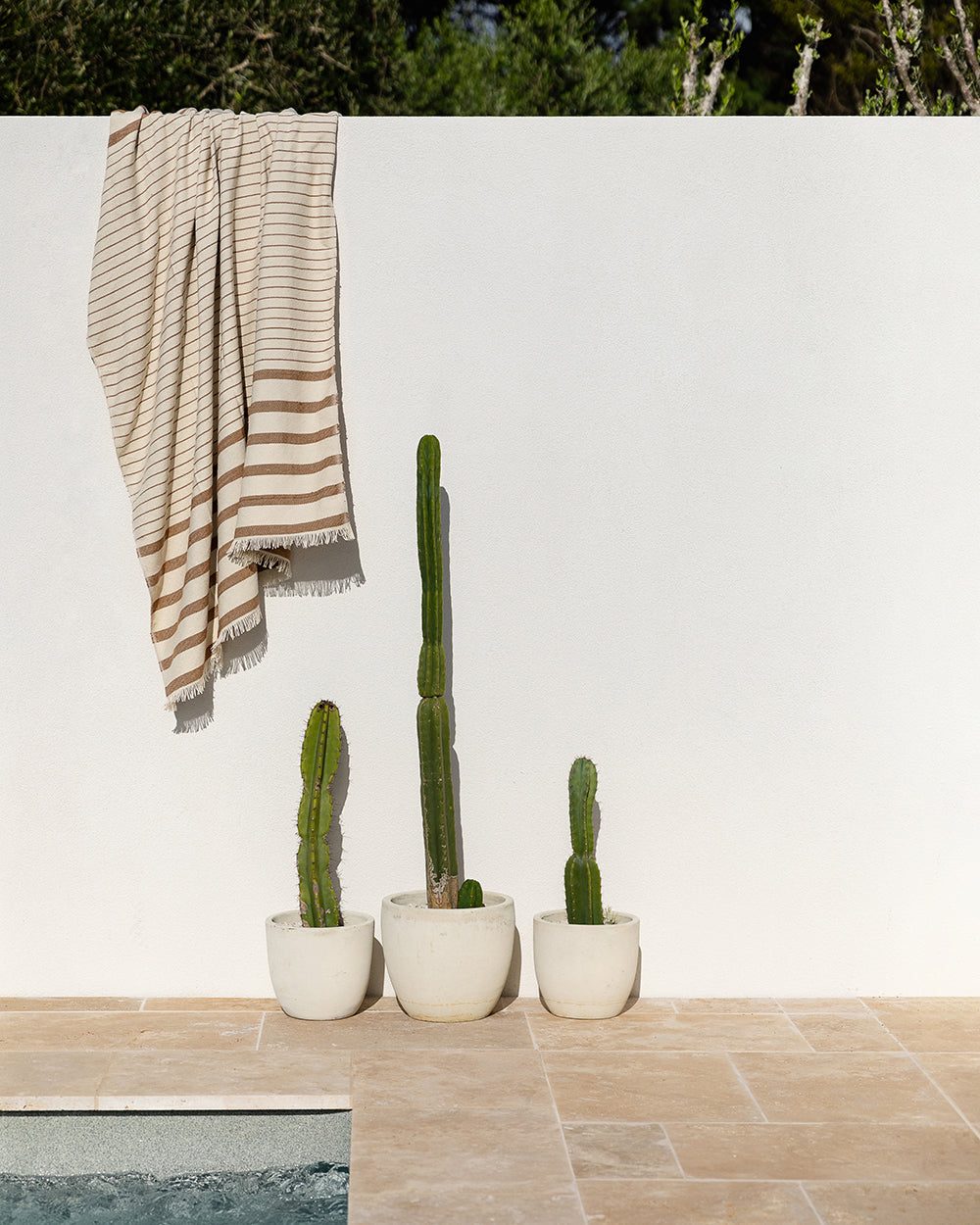Banksia Throw Pecan