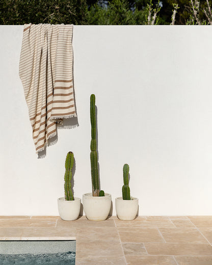 Banksia Throw Pecan